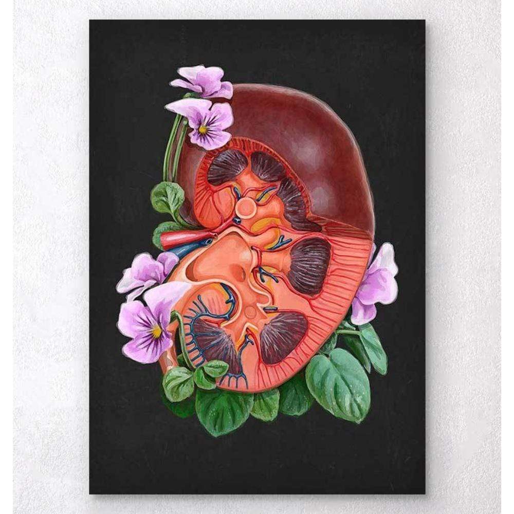 Kidney Anatomy Floral Black